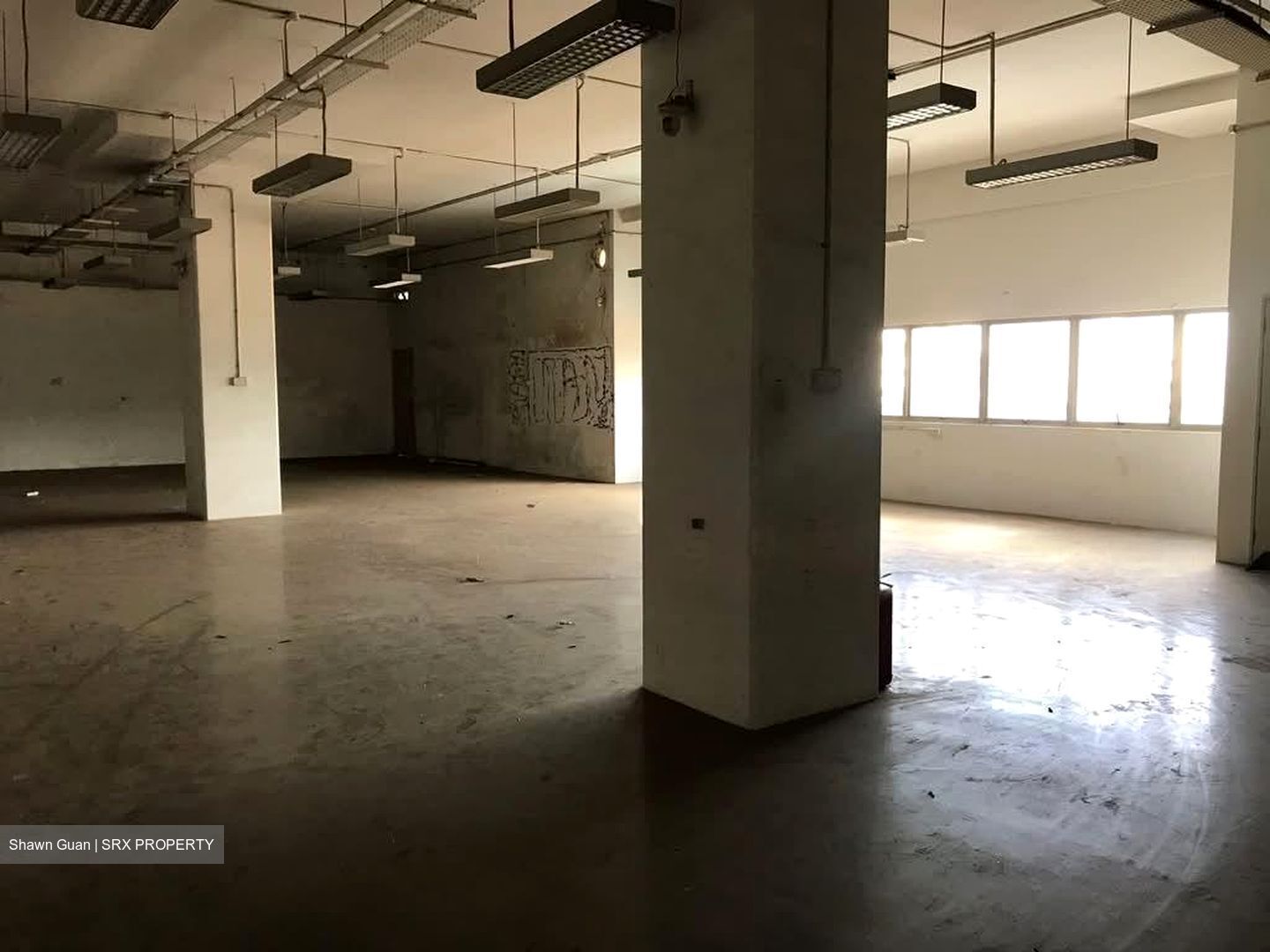 Tai Seng Street (D19), Office #536734361